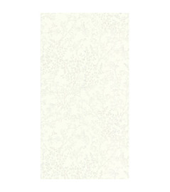DELZONGLE Prima  4086