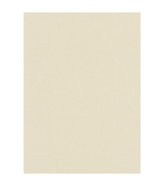 Papier peint stock DELZONGLE Collection PRIMA 2023 référence 4003