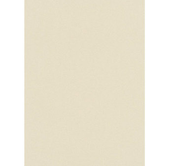 Papier peint stock DELZONGLE Collection PRIMA 2023 référence 4003