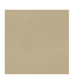 Papier peint stock DELZONGLE Collection PRIMA 2023 référence 4005