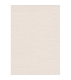 Papier peint stock DELZONGLE Collection PRIMA 2023 référence 4034