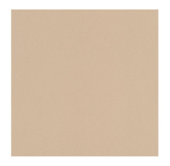 Papier peint stock DELZONGLE Collection PRIMA 2023 référence 4042