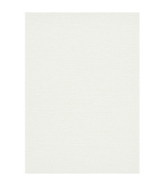 Papier peint stock DELZONGLE Collection PRIMA 2023 référence 4048