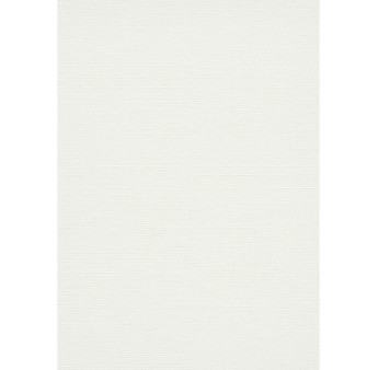 Papier peint stock DELZONGLE Collection PRIMA 2023 référence 4048