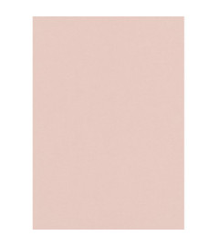 Papier peint stock DELZONGLE Collection PRIMA 2023 référence 4050