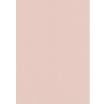 Papier peint stock DELZONGLE Collection PRIMA 2023 référence 4050