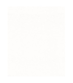 Papier peint stock DELZONGLE Collection PRIMA 2023 référence 4053