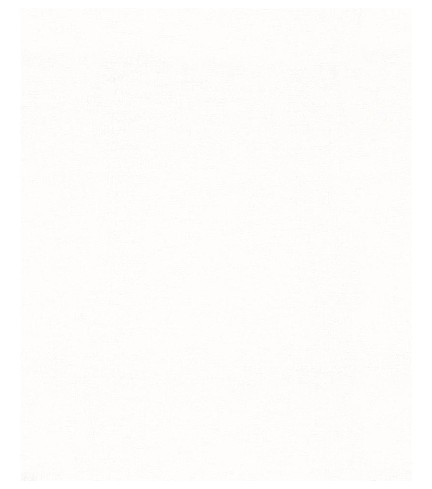 Papier peint stock DELZONGLE Collection PRIMA 2023 référence 4053 Papier peint stock DELZONGLE Collection PRIMA 2023 référence 4053