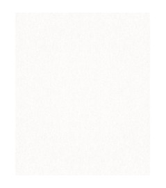 Papier peint stock DELZONGLE Collection PRIMA 2023 référence 4102