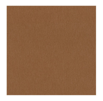 Papier Peint RASCH Incanto 720181