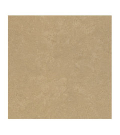 Papier Peint RASCH Colors VI 315196