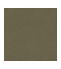 Papier Peint RASCH Colors VI 330120