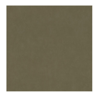 Papier Peint RASCH Colors VI 330120