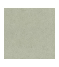 Papier Peint RASCH Colors VI 408171