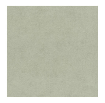 Papier Peint RASCH Colors VI 408171