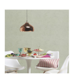 Papier Peint RASCH Colors VI 408171