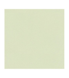 Papier Peint RASCH Colors VI 447538