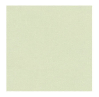 Papier Peint RASCH Colors VI 447538