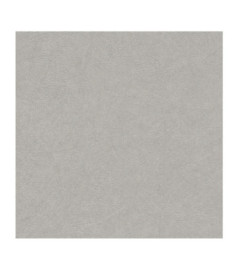 Papier Peint RASCH Colors VI 520255