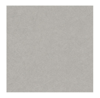 Papier Peint RASCH Colors VI 520255