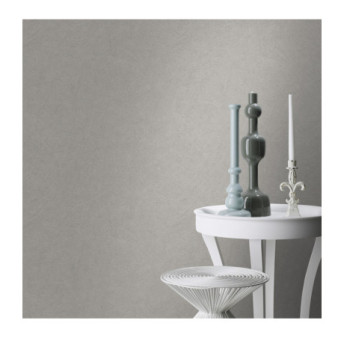 Papier Peint RASCH Colors VI 520255