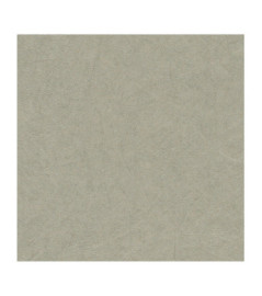 Papier Peint RASCH Colors VI 520279