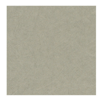 Papier Peint RASCH Colors VI 520279