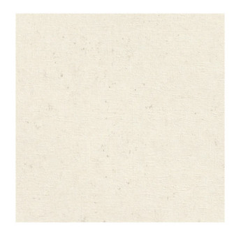 Papier Peint RASCH Colors VI 520828