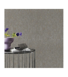 Papier Peint RASCH Colors VI 538335