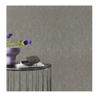 Papier Peint RASCH Colors VI 538335