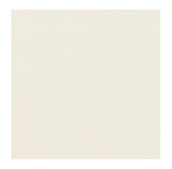 Papier Peint RASCH Colors VI 555820