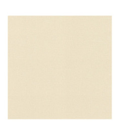 Papier Peint RASCH Colors VI 555837
