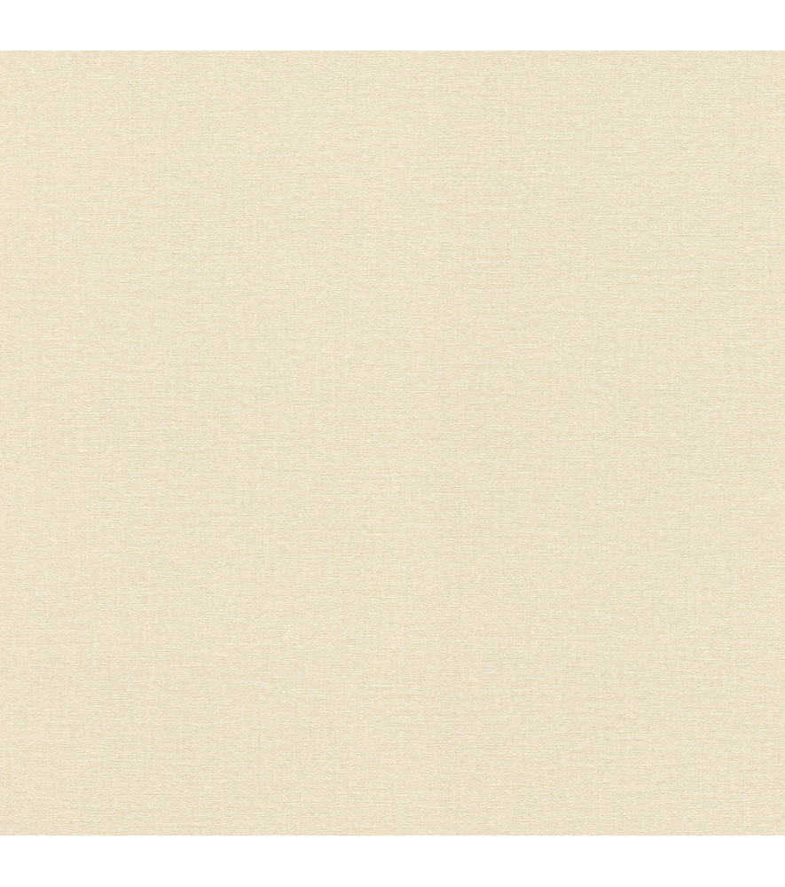 Papier Peint RASCH Colors VI 555837