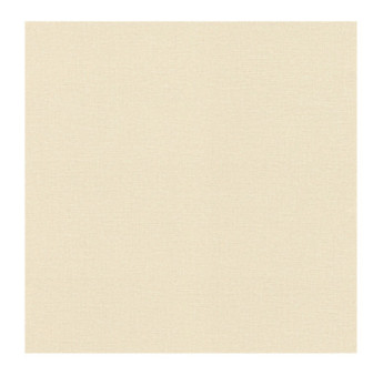 Papier Peint RASCH Colors VI 555837