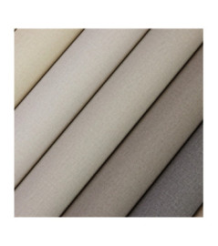 Papier Peint RASCH Colors VI 555837
