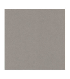 Papier Peint RASCH Colors VI 555875