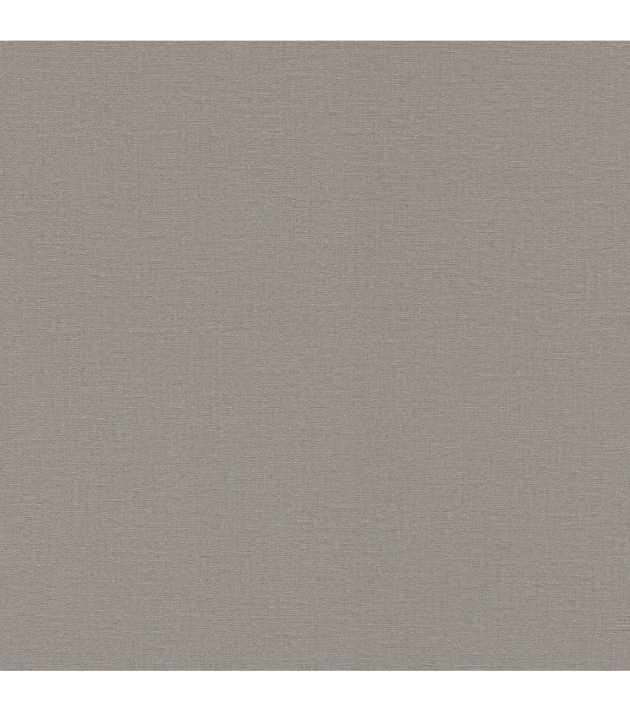 Papier Peint RASCH Colors VI 555875