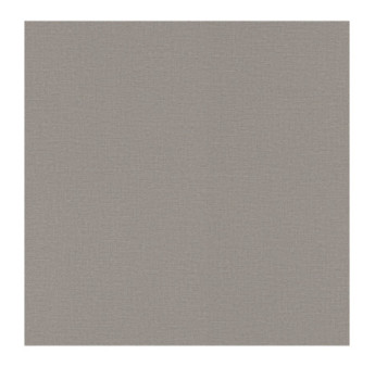 Papier Peint RASCH Colors VI 555875