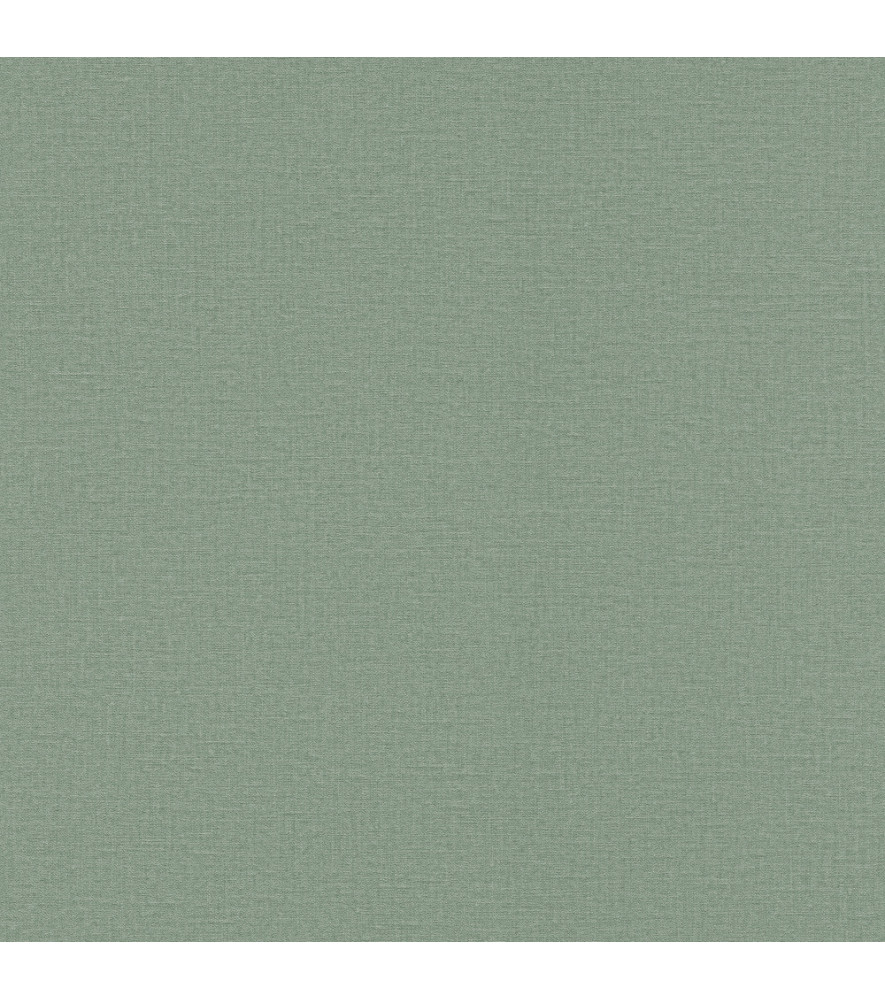 Papier Peint RASCH Colors VI 555936