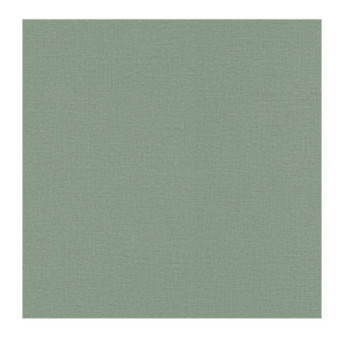Papier Peint RASCH Colors VI 555936