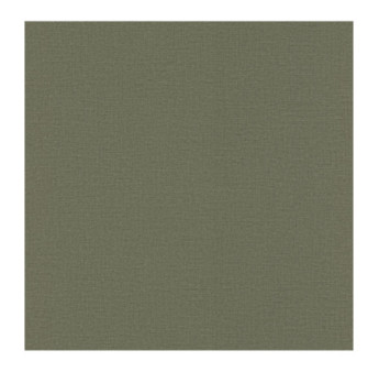 Papier Peint RASCH Colors VI 555943
