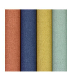 Papier Peint RASCH Colors VI 555943