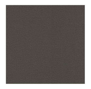 Papier Peint RASCH Colors VI 555974
