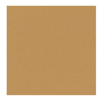 Papier Peint RASCH Colors VI 600292