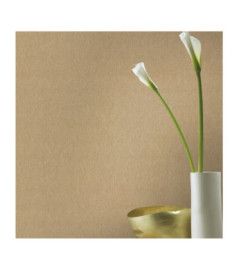 Papier Peint RASCH Colors VI 608618
