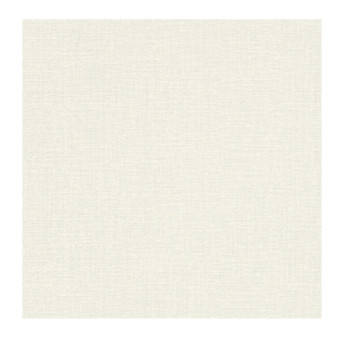 Papier Peint RASCH Colors VI 653717