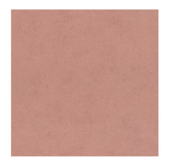 Papier Peint RASCH Colors VI 408157