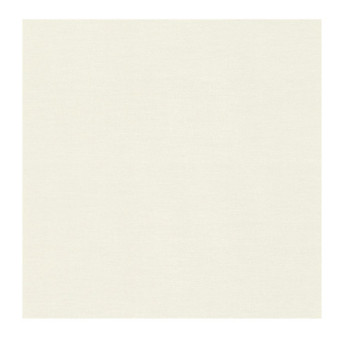 Papier Peint RASCH Colors VI 408249