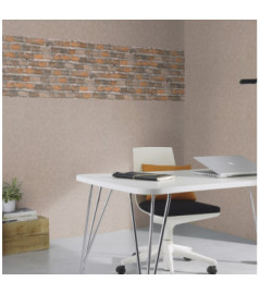 Papier Peint RASCH Colors VI 429251