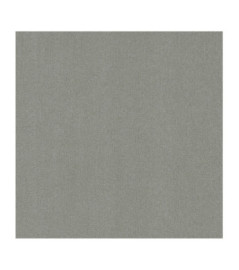 Papier Peint RASCH Colors VI 441611